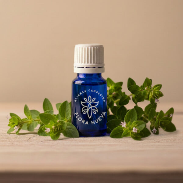 aceite esencial juanilama carvona Flora Nueva