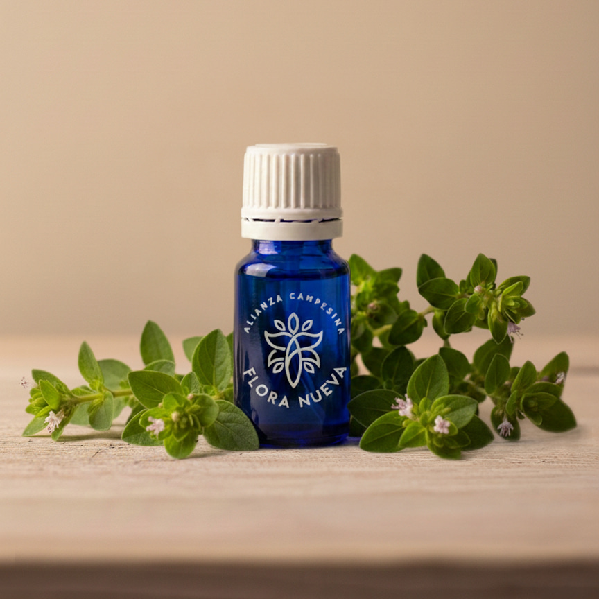 aceite esencial juanilama carvona Flora Nueva