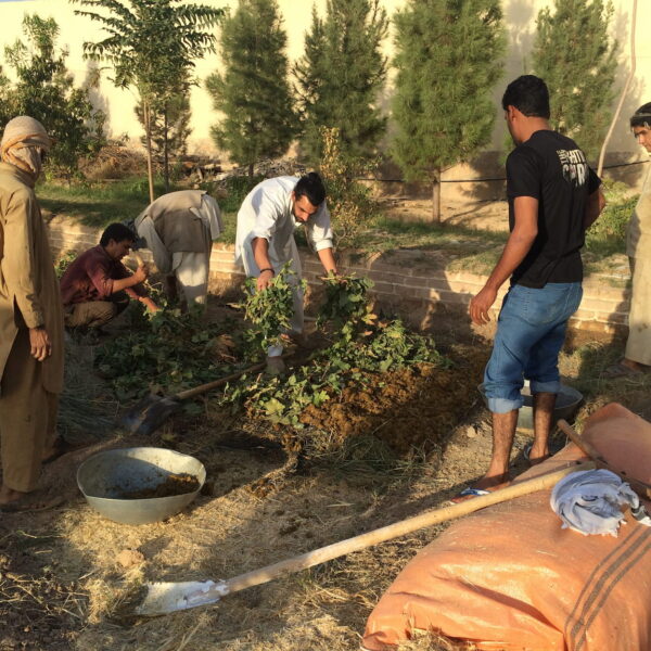 consultoría equipo Flora Nueva