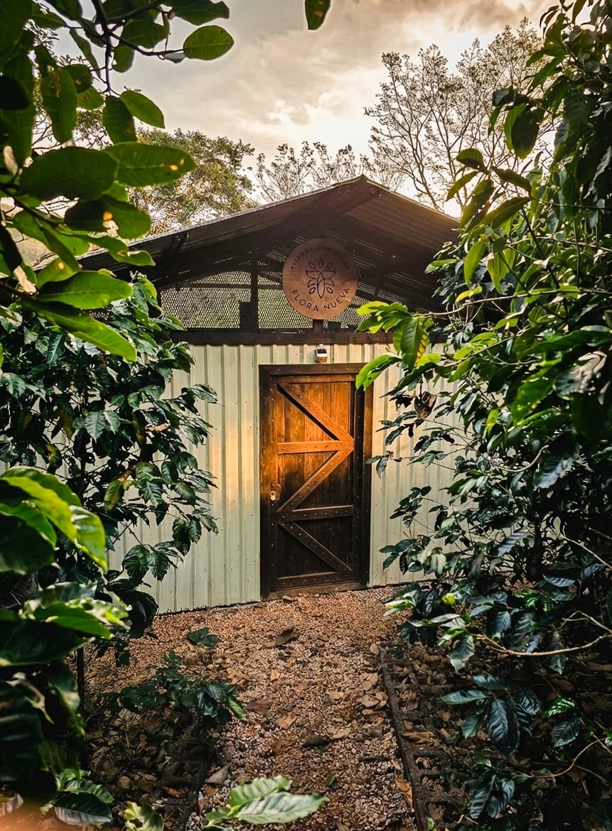 finca Pacífico Flora Nueva