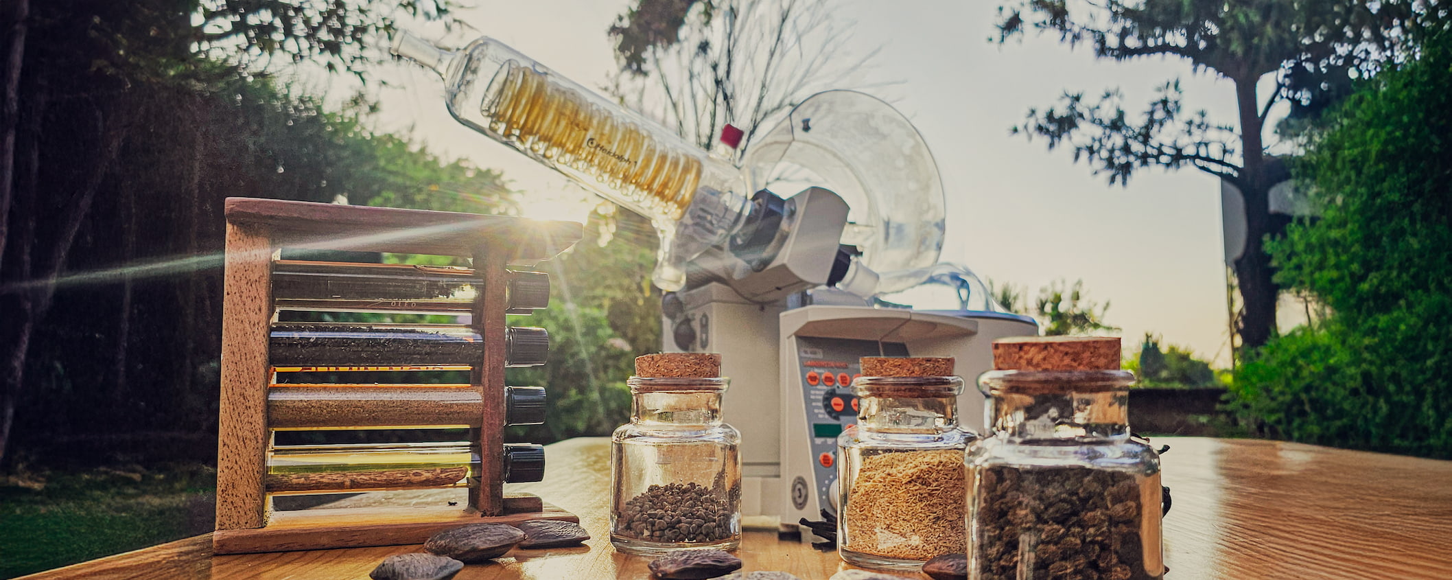 instrumenttos de laboratorio de investigación de Flora Nueva