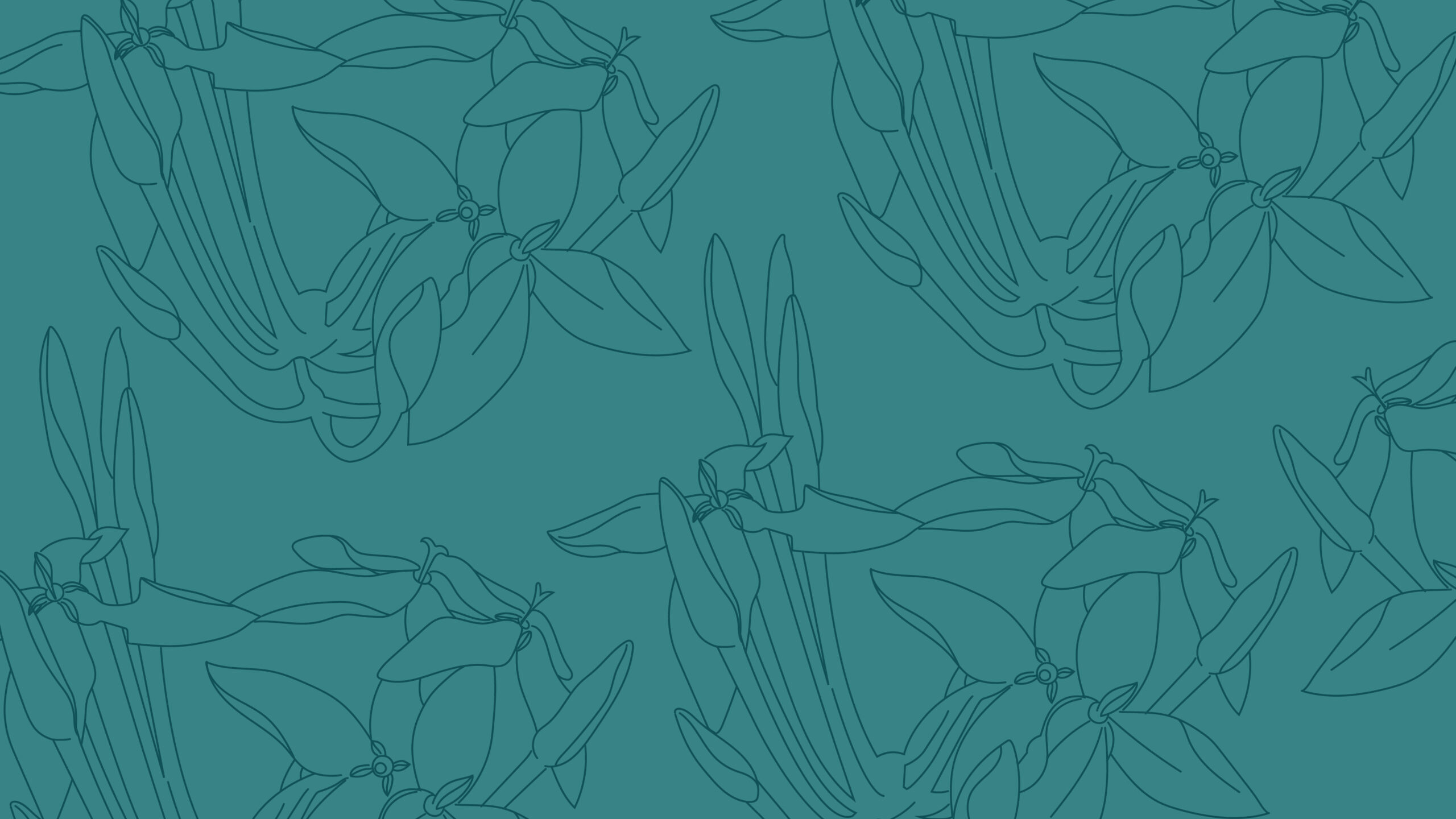 fondo ilustrado con flores para Flora Nueva