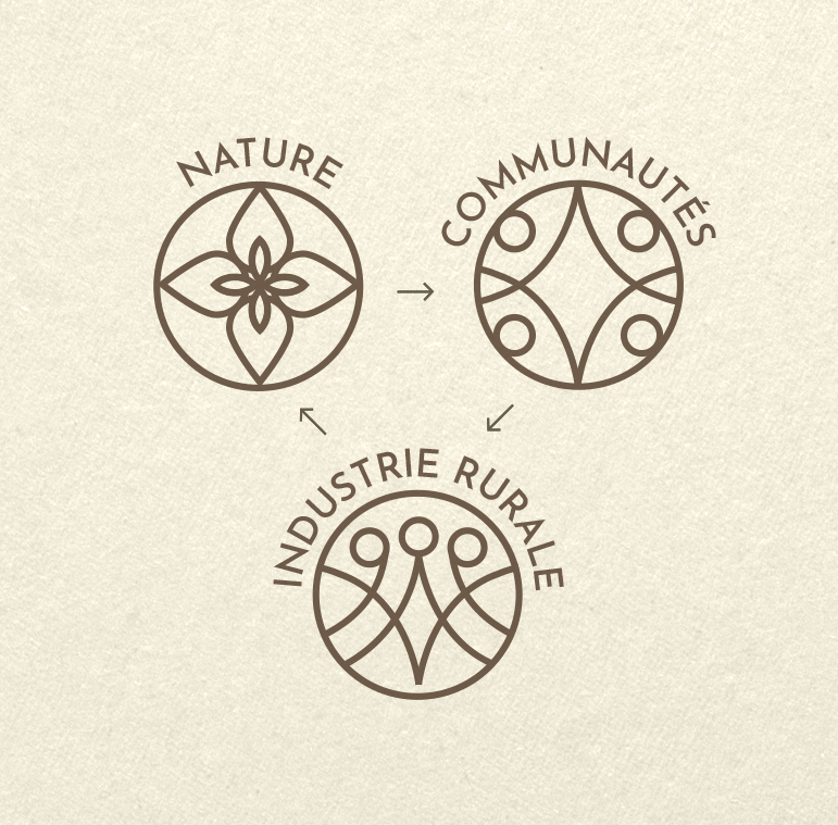 notre modele Flora Nueva