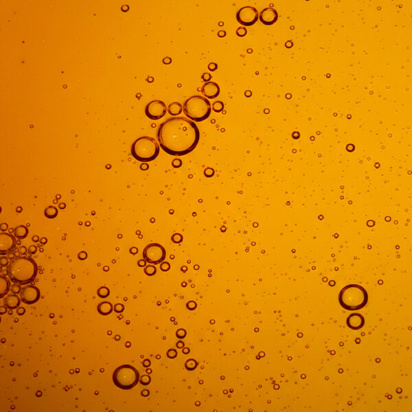 óleo chía Flora Nueva