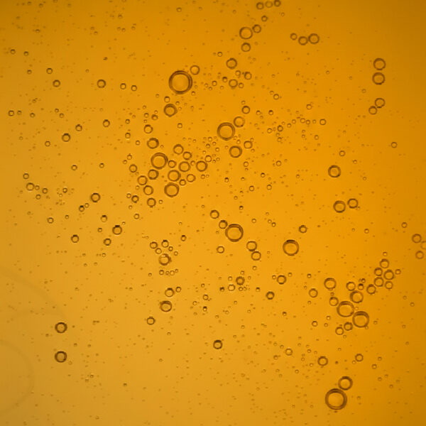 textura óleo hibiscus Flora Nueva