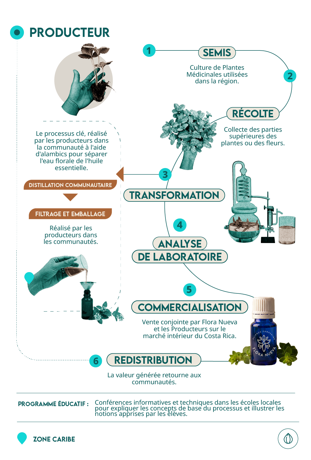 infografía aceites esenciales Flora Nueva