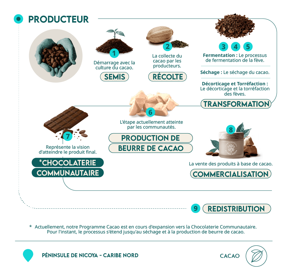 infografía cacao Flora Nueva