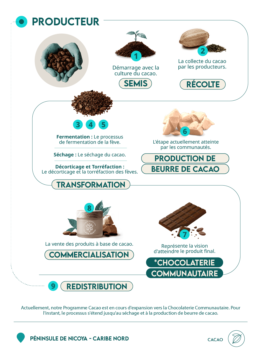 infografía cacao Flora Nueva
