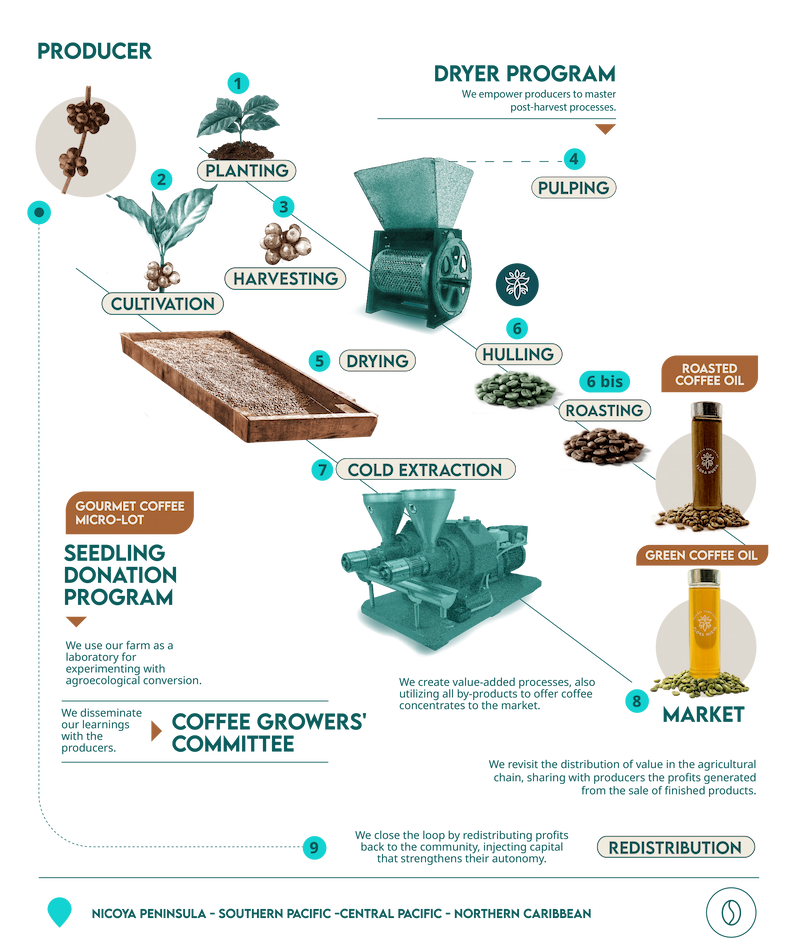 infografía café escritorio ENG