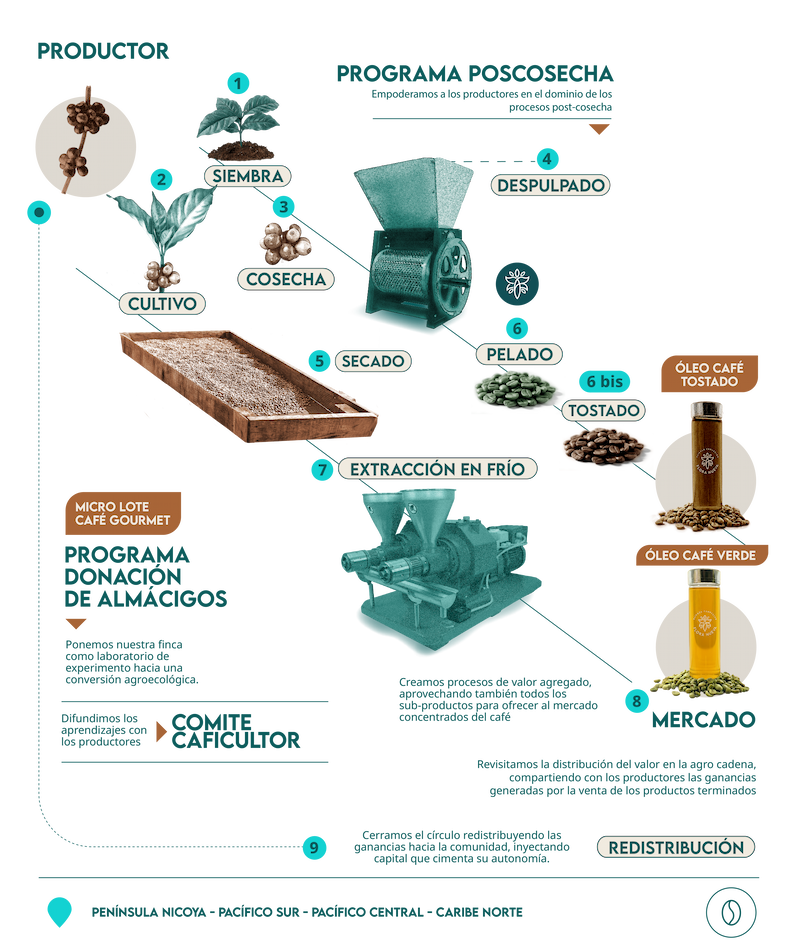 infografía café escritorio