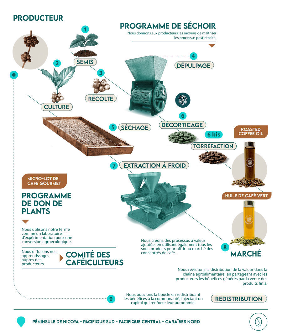 infografía café escritorio FR