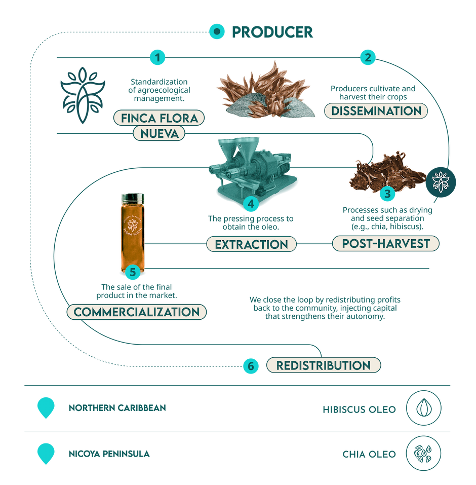 infografía oleos escritorio ENG