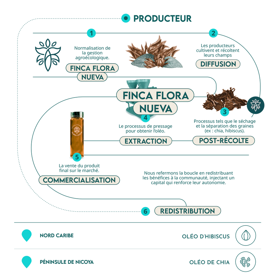 infografía oleos escritorio FR