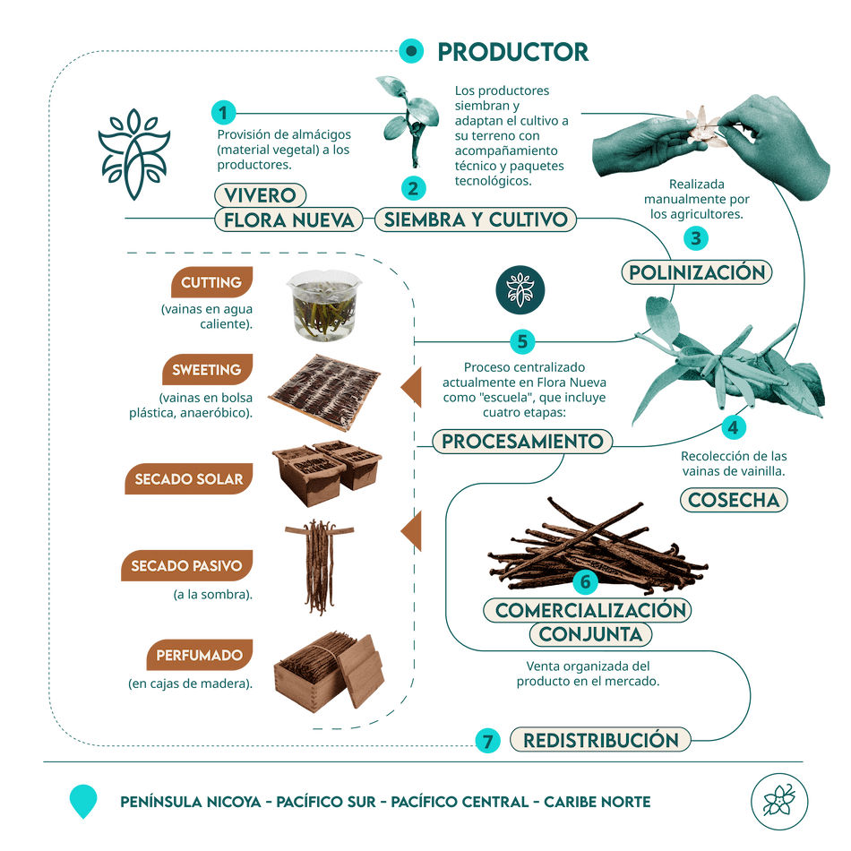 infografía vainilla escritorio