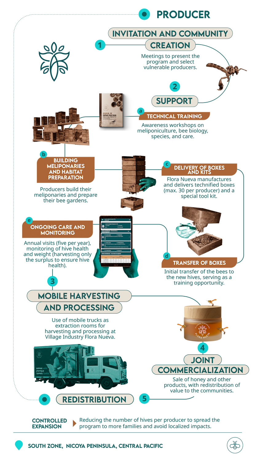 inforgrafia abejas móvil ENG
