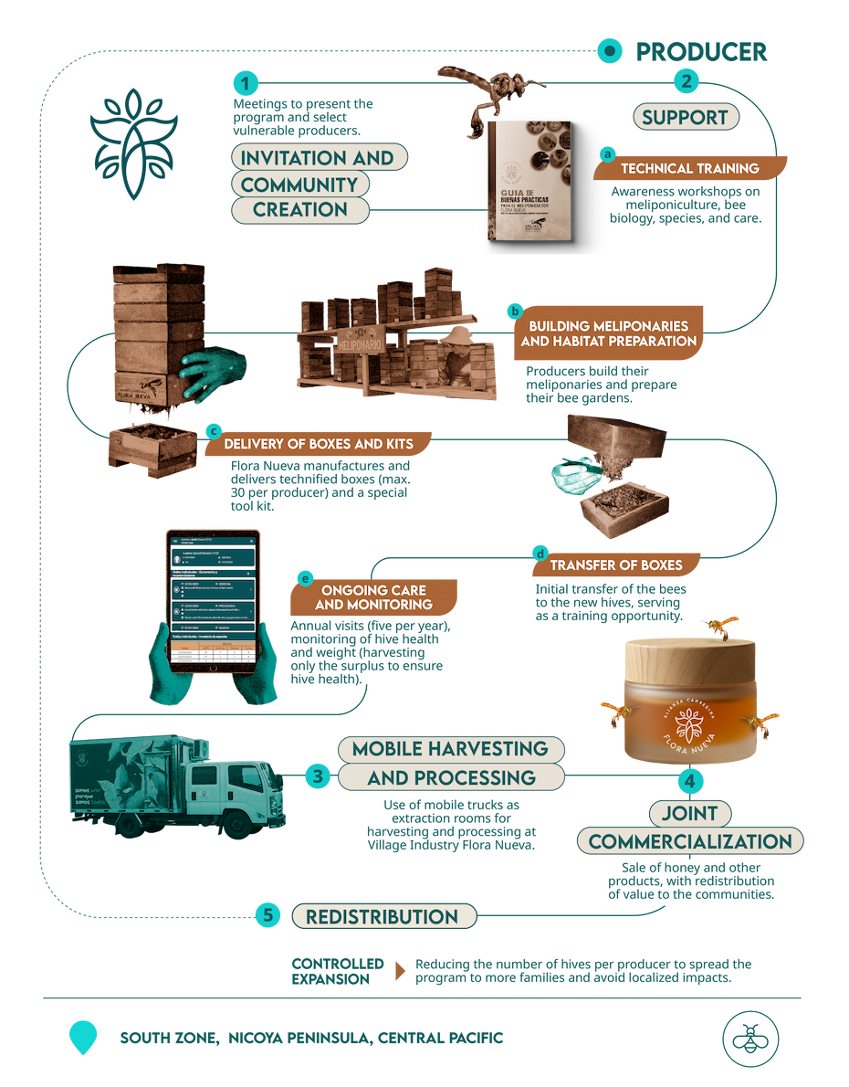 infografia abejas móvil ENG