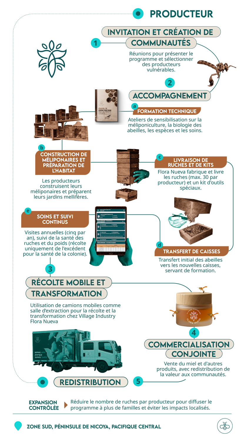 infografía abejas móvil FR