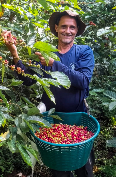 agricultor café de Flora Nueva