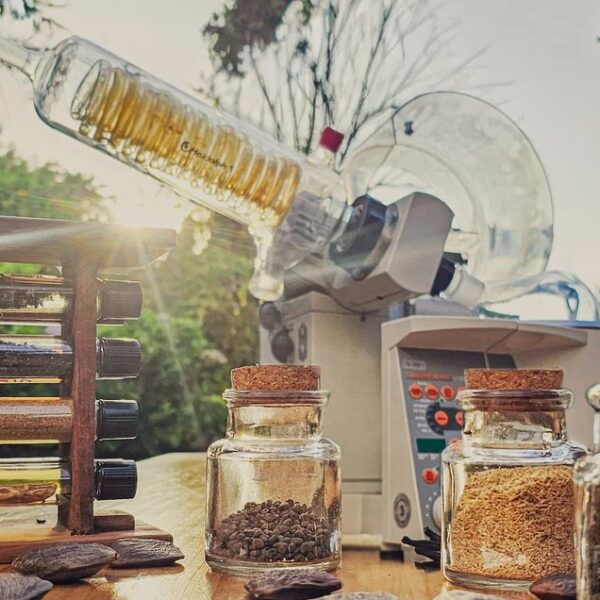 investigación Flora Nueva