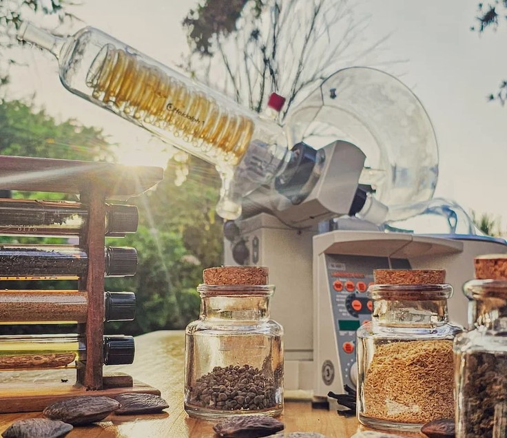 investigación Flora Nueva