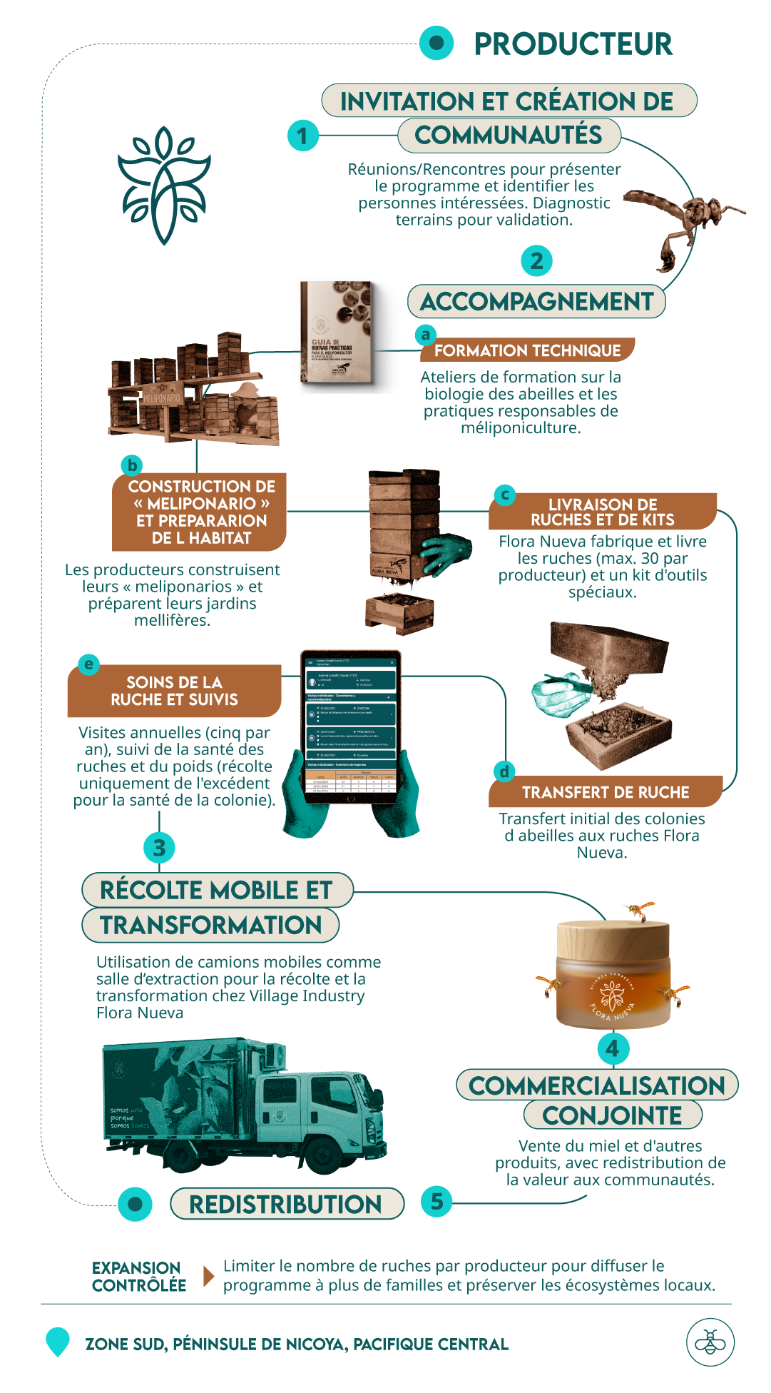 FR-Inforgrafia Abejas_Mobile