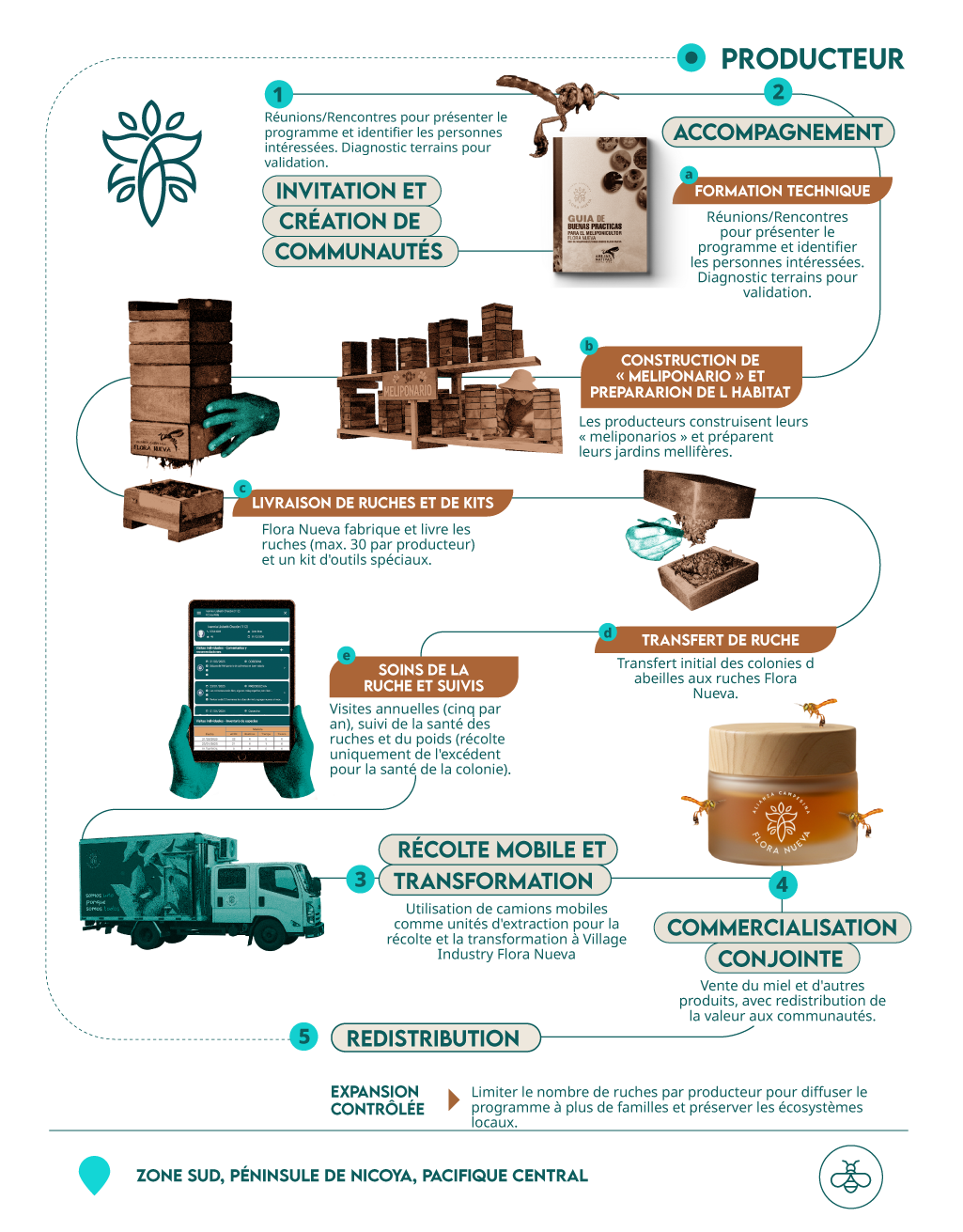 FR-Inforgrafia Abejas